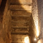 IMG_9031