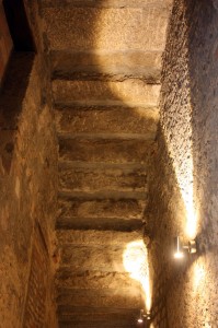 IMG_9031